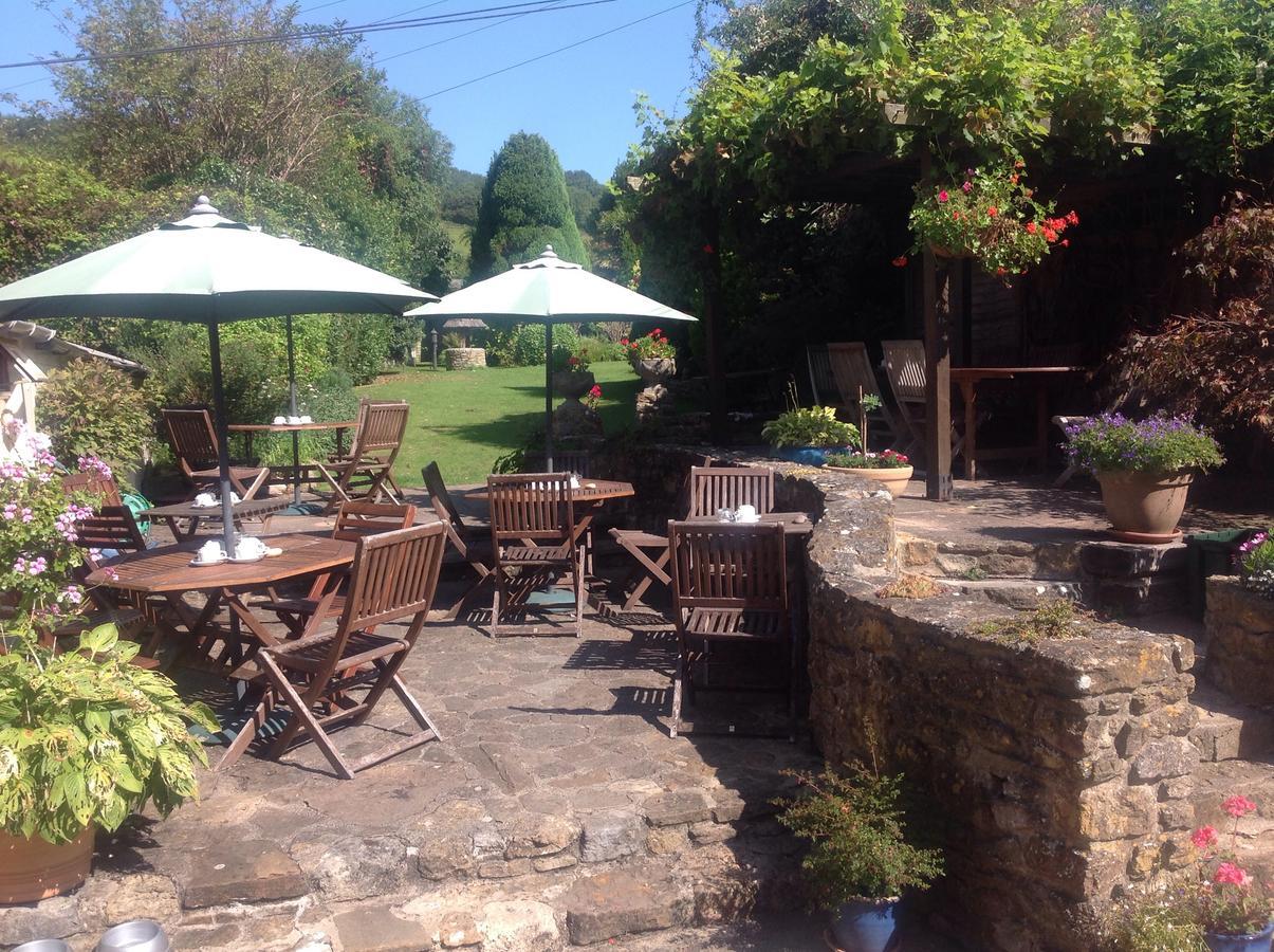 Abbotsbury Tea Rooms Zewnętrze zdjęcie
